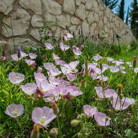 Ionides Villas Lefkada Вилла